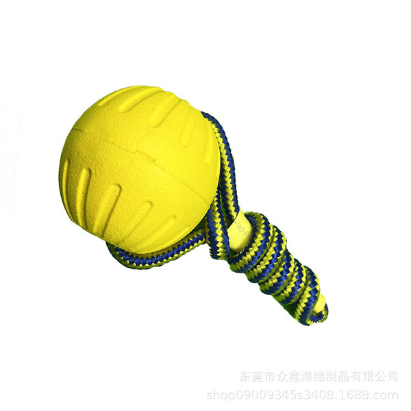 The Float-and-Fetch Frisbee Ball