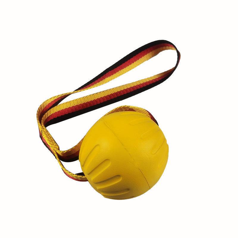 The Float-and-Fetch Frisbee Ball