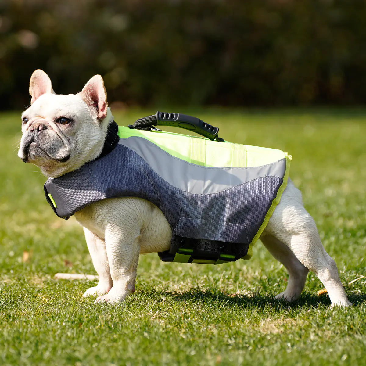 Reflective Dog Swimsuit Life Jacket