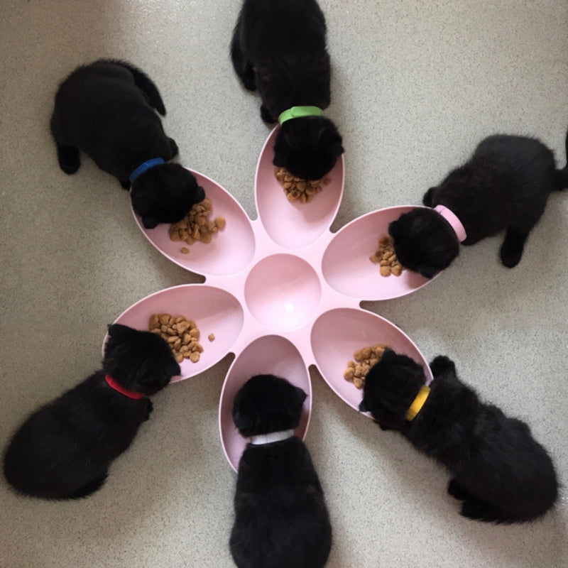 The Bloom-Where-You-Chow Bowl Set