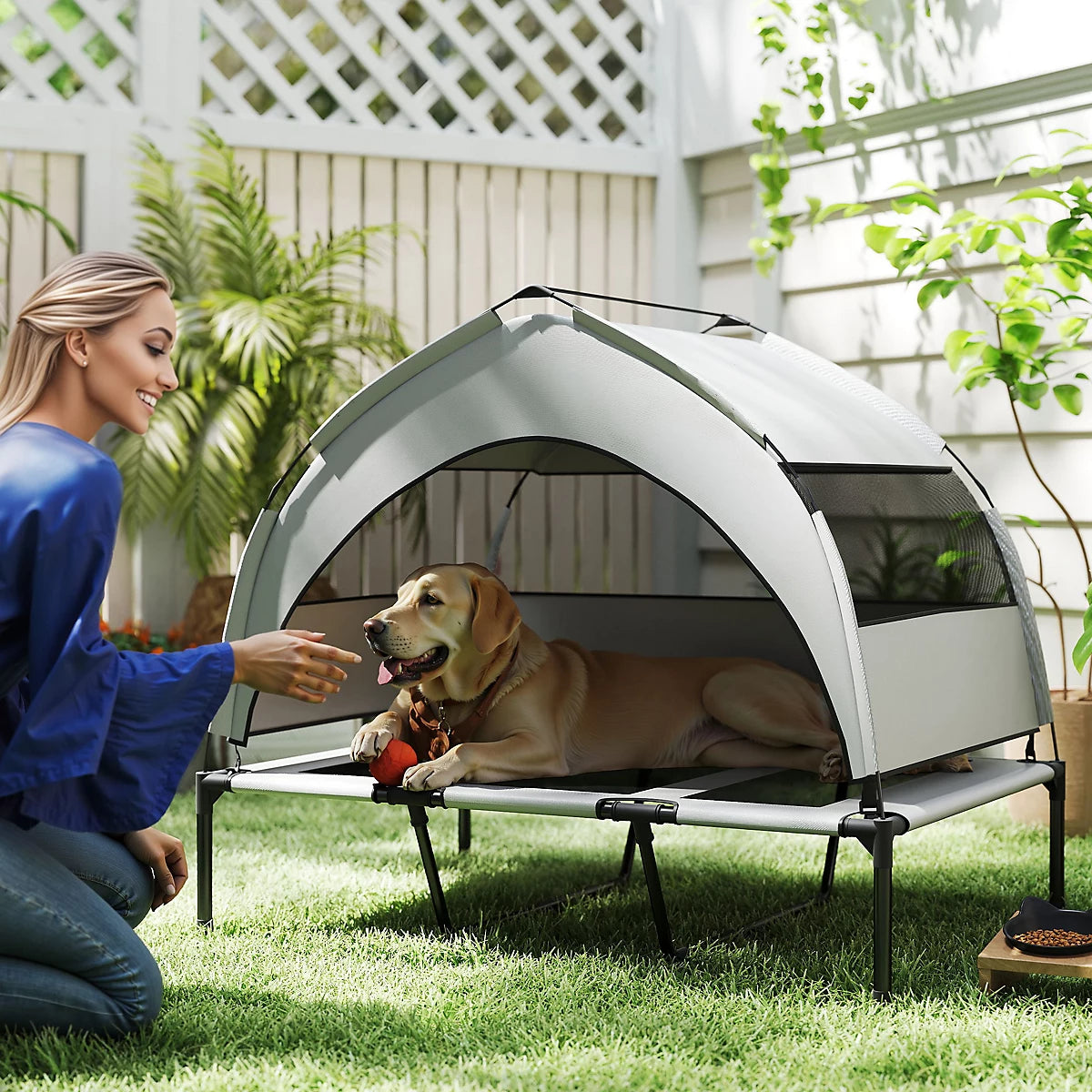 Elevated Outdoor Dog Bed with Canopy