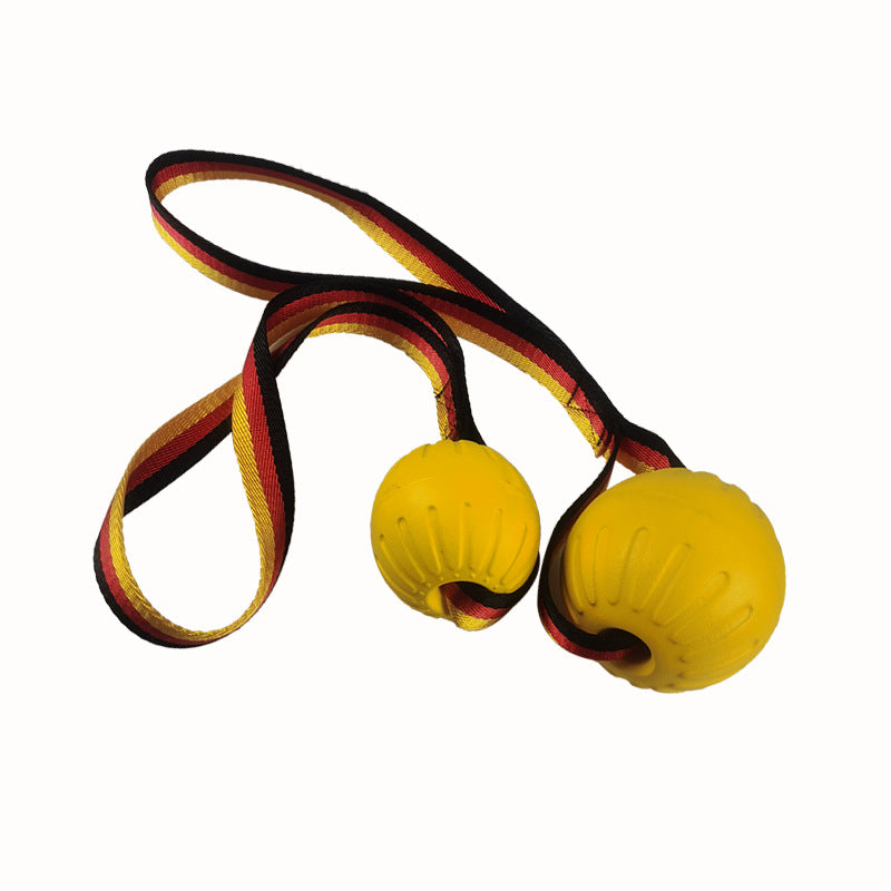The Float-and-Fetch Frisbee Ball