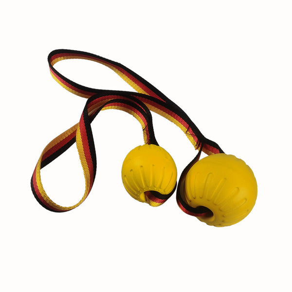 The Float-and-Fetch Frisbee Ball