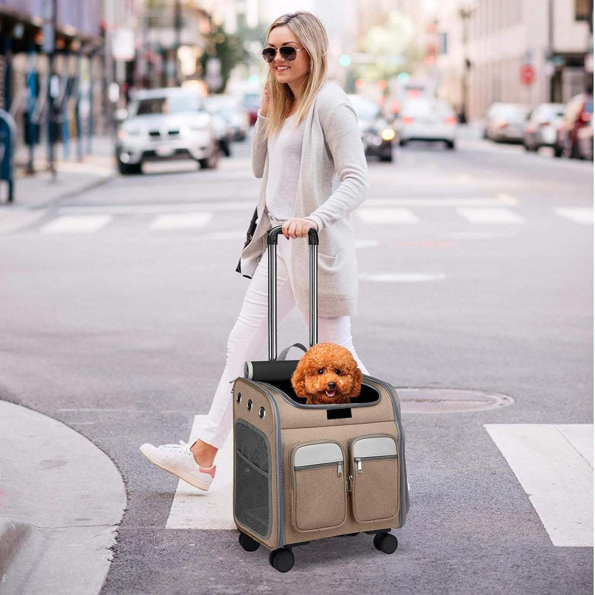 Foldable Pet Backpack with Wheels