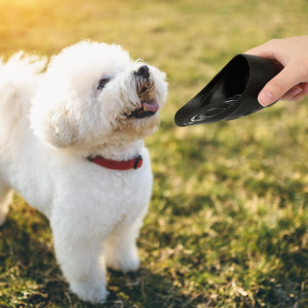 Outdoor Pet Drinking Bottle