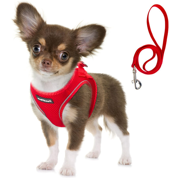 Dog Harness & Collar Set