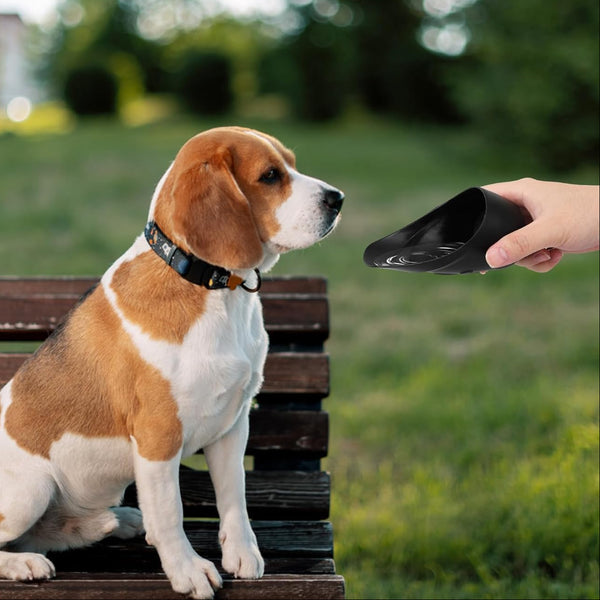 Outdoor Pet Drinking Bottle