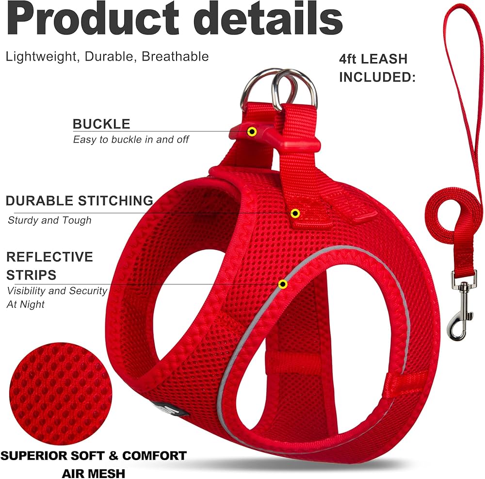 Dog Harness & Collar Set