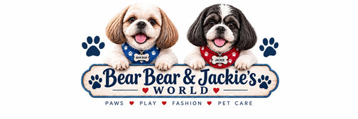 Bear Bear & Jackie’s World