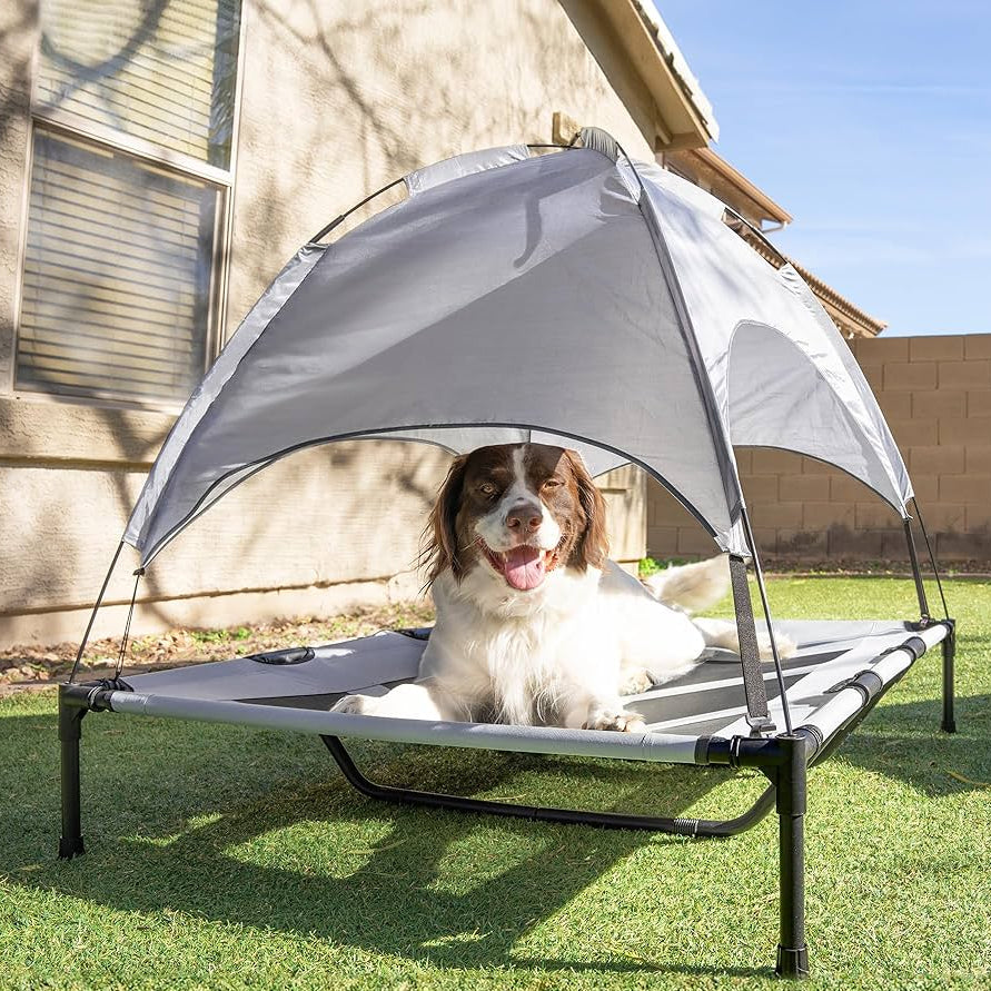 Elevated Outdoor Dog Bed with Canopy
