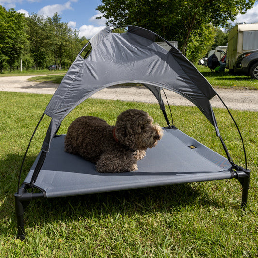Elevated Outdoor Dog Bed with Canopy