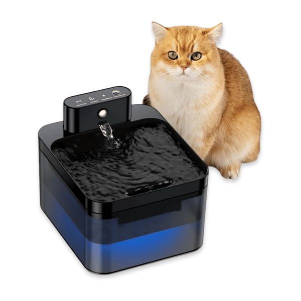 Automatic Pet Water Fountain with Smart Sensor