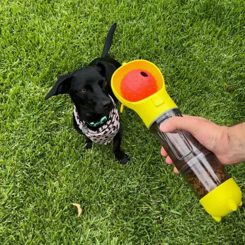 3-In-1 Portable Dog Bottle & Feeder