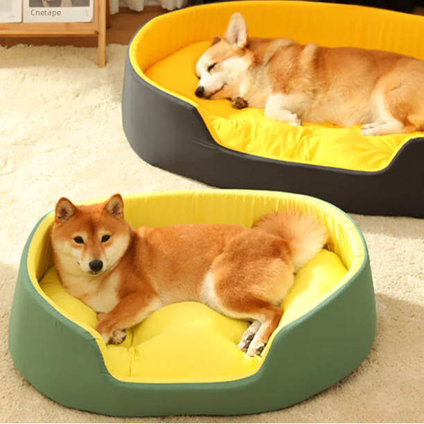 Dog Bed with Removable Cover