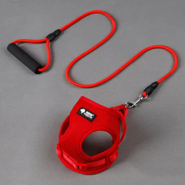 Dog Harness & Collar Set