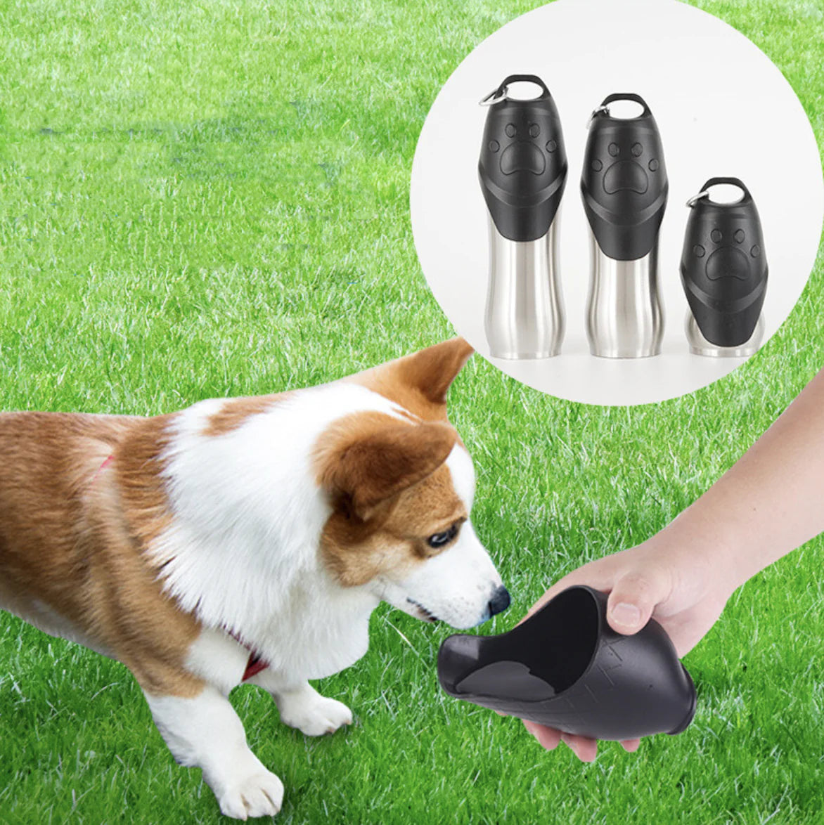 Outdoor Pet Drinking Bottle