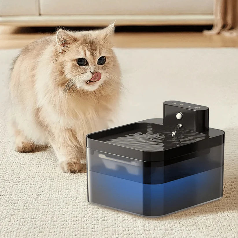 Automatic Pet Water Fountain with Smart Sensor