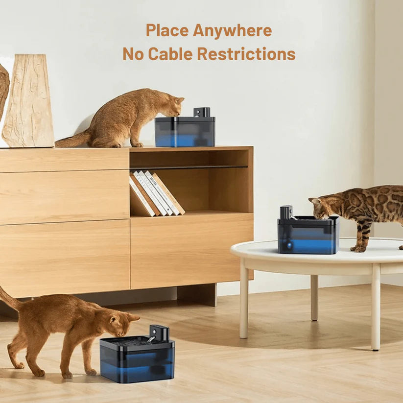 Automatic Pet Water Fountain with Smart Sensor