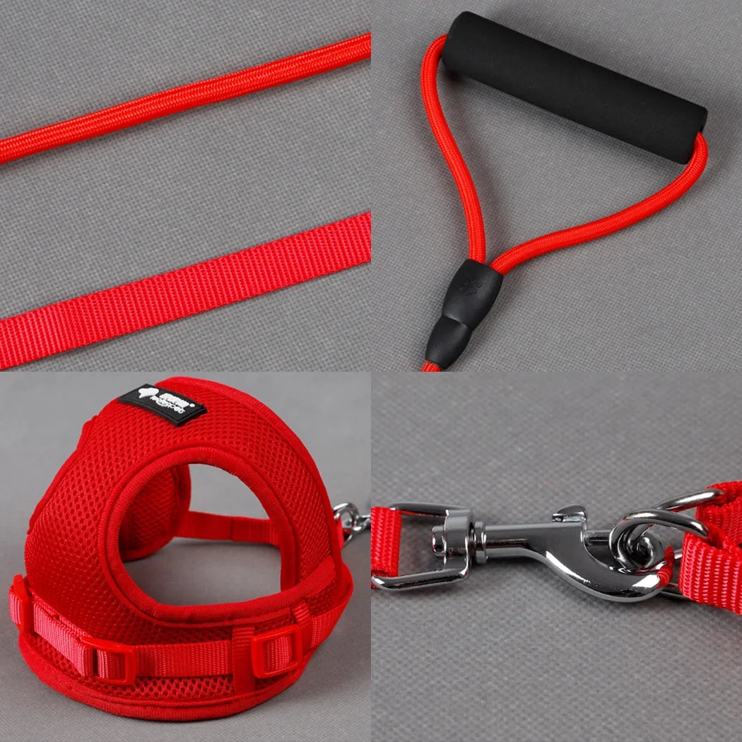 Dog Harness & Collar Set