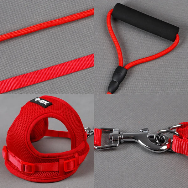 Dog Harness & Collar Set