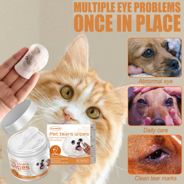 The Bright-Eyes Wipe Squad