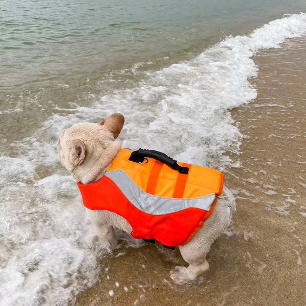 Reflective Dog Swimsuit Life Jacket