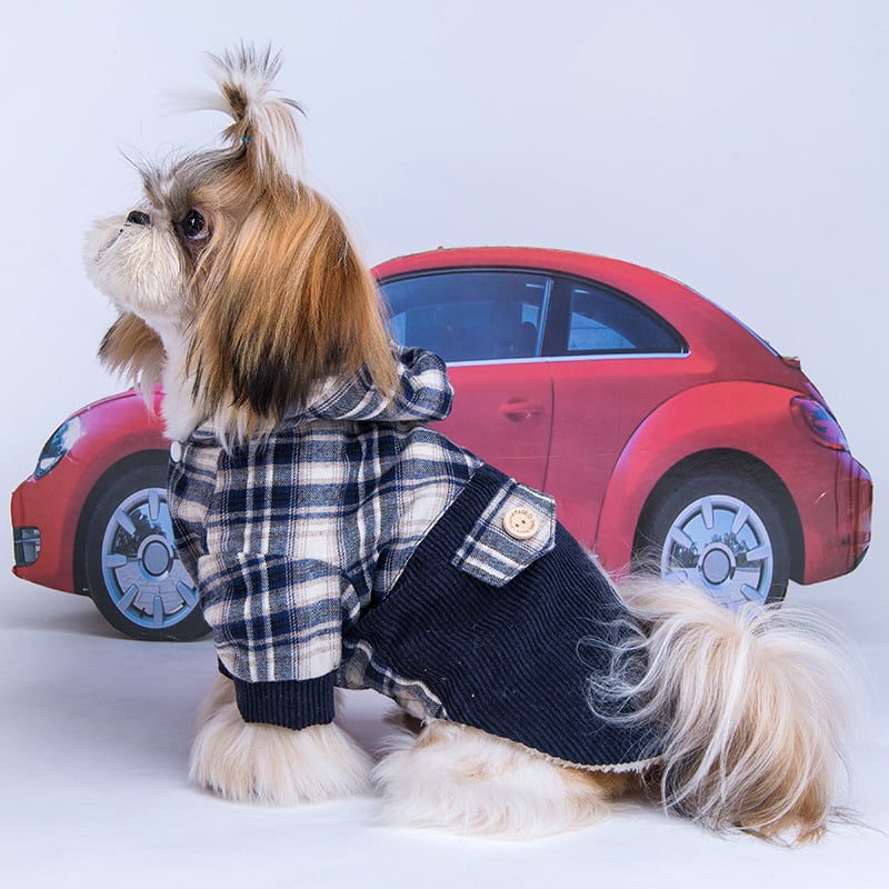 The Teddy VIP Cashmere Coat