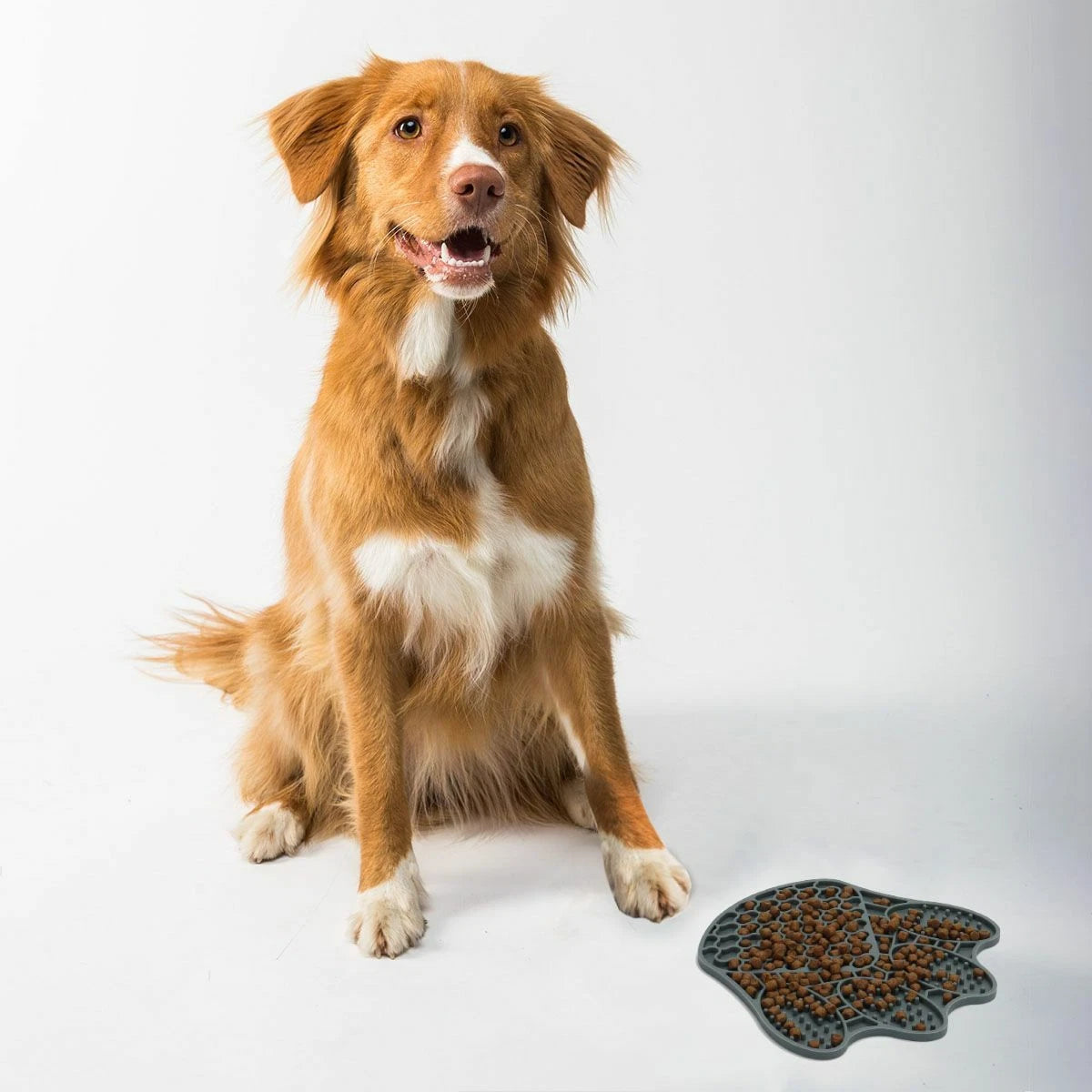 Silicone Dog Licking Mat