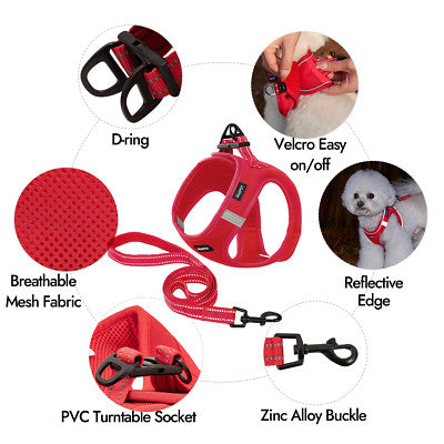 Dog Harness & Collar Set