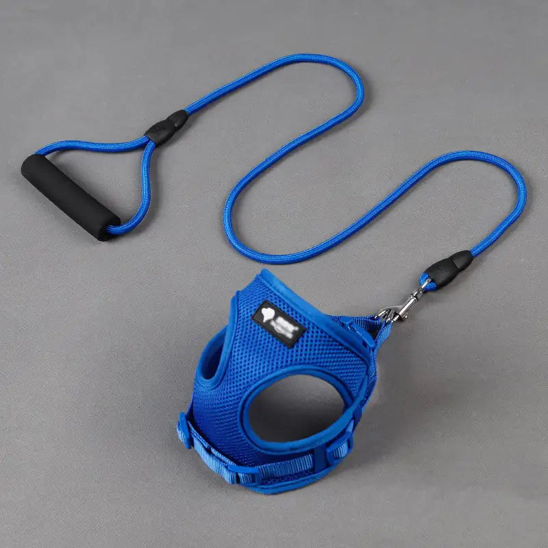 Dog Harness & Collar Set